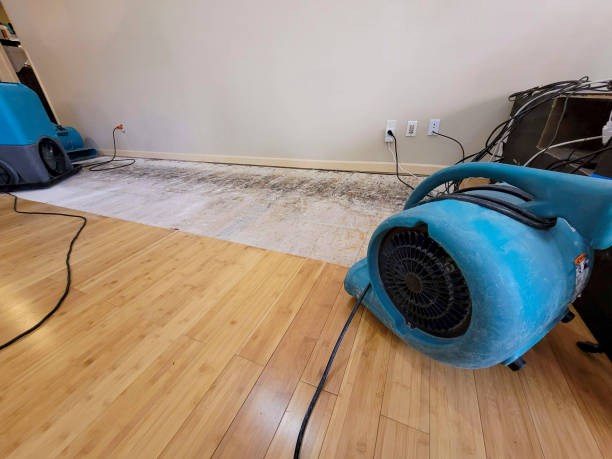 Professional Burst Pipe Water Damage technician working in Crestwood, KY